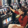 social gambler