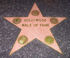 Walk of Fame Status Level of Hollywood Poker VIP Program