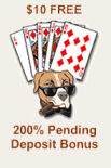 Pitbull Poker Free No Deposit Money with 200% Pending Bonus